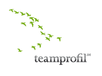 teamprofil.de - strategische Organisationsberatung